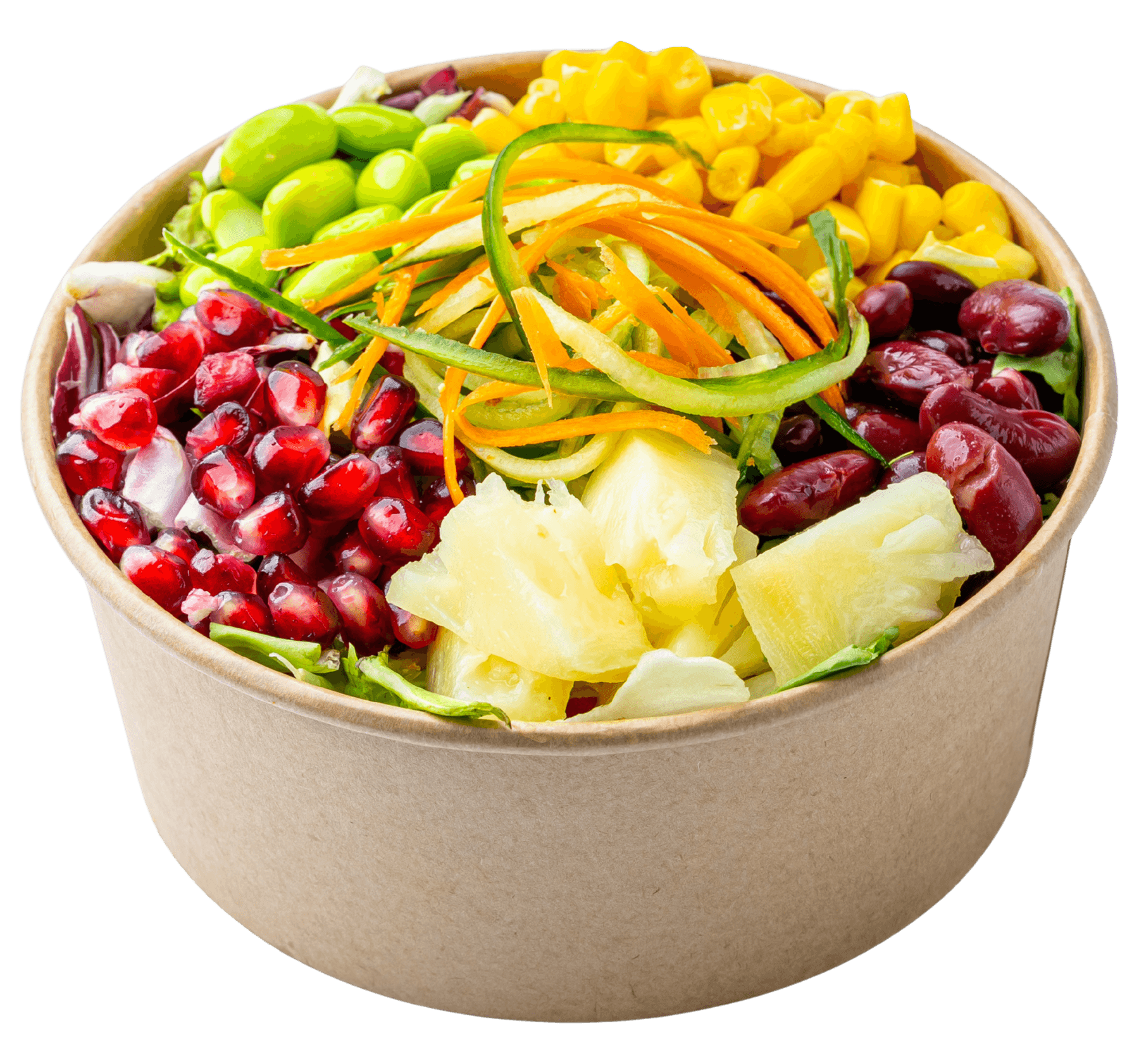 salata cu vegetariana_1
